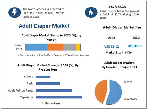 Adult Diaper Market Global Industry Analysis And Forecast 2030