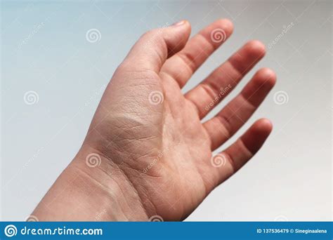 Woman`s Hand On A Light Background Open Palm Stock Image Image Of