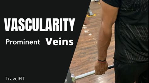 Vascularity How To Get Visible Veins Travelfit English Youtube