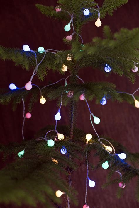 Photo Of Glowing Colorful Round Christmas Lights Free Christmas Images