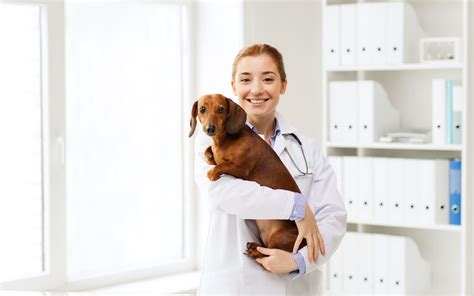 While you can shop for a policy with a shorter waiting period, it's best to choose a plan that offers how the waiting period works with embrace. Taking the pain out of pre-existing conditions - Petsy Pet Insurance