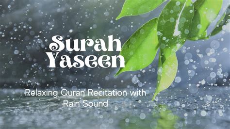 Surah Yaseen Beautiful Recitation With Rain Sound For Sleep Relaxing