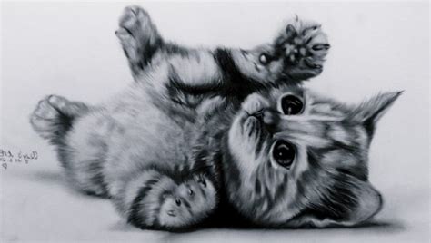 Realistic Drawings Of Kittens Drawing Easy Black Cat Drawing
