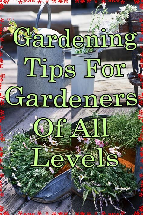 Gardening Tips For Gardeners Of All Levels Home Deco And Gardening Tips