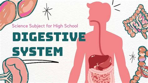 Illustrated Biology Digestive System Free Presentation Template