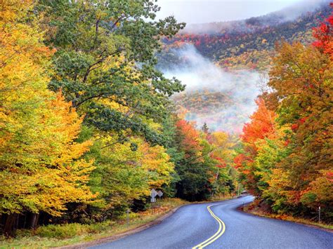 New Jersey Fall Foliage Drives Amada Bourgeois