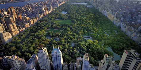 Cosas Que Tienes Que Ver En El Central Park De Nueva York