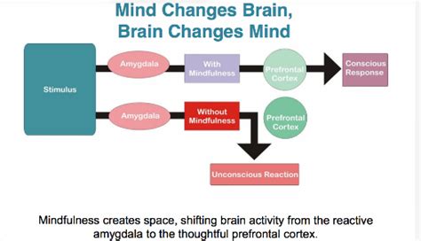Change Your Brain With Mindful Meditation — College Essay Guy Get