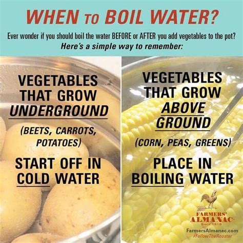 A Poster With Instructions On How To Boil Vegetables In Water And What