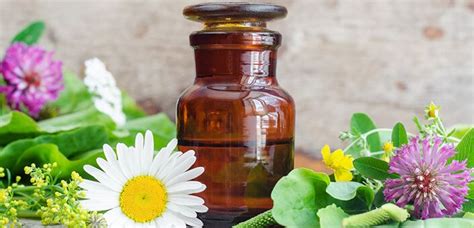I know he has to avoid a lot of foods. 5 Essential Oils For Stomach Ulcers | Essential oils for ...