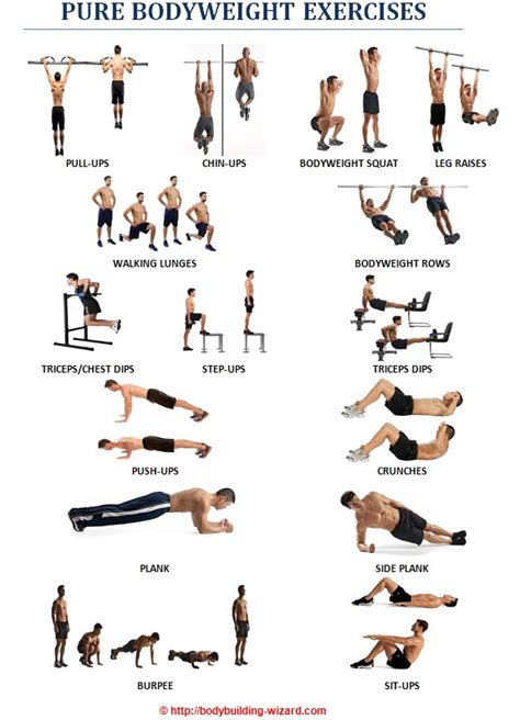 Bodybuilding Exercise Chart Images EOUA Blog