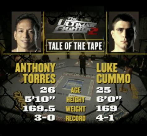 the ultimate fighter 2005