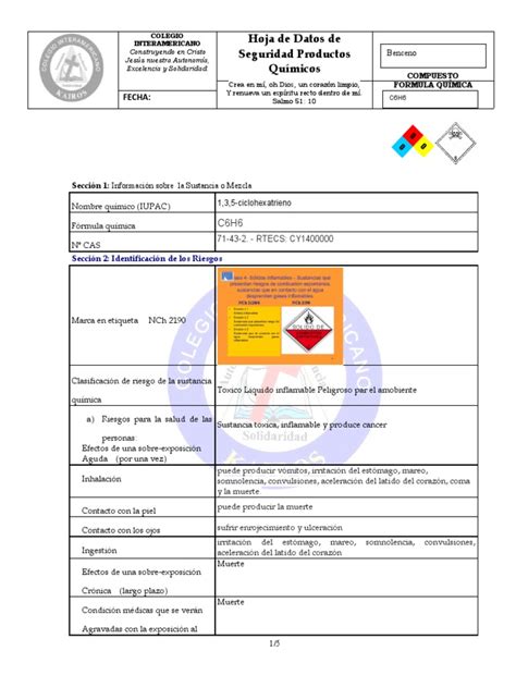 Formato Hoja De Seguridad Pdf Benceno Residuos