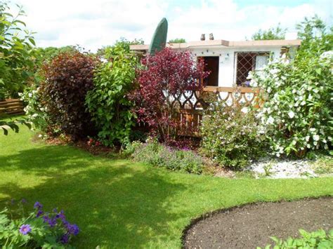 Denn sie kamen gut mit der damals herrschenden trockenheit zurecht. Rotlaubiger Strauch als Hintergrund - Mein schöner Garten ...