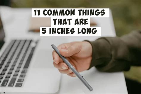 10 Common Things That Are 4 Inches Long Measurementer