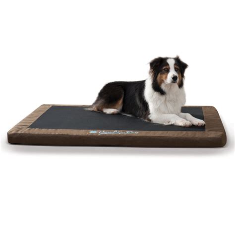 Kandh Brown Comfy N Dry Indooroutdoor Orthopedic Dog Bed 48 L X 36 W