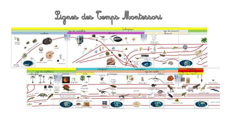 Frise Chronologique Histoire De La Vie Sur Terre Nouvelles Histoire