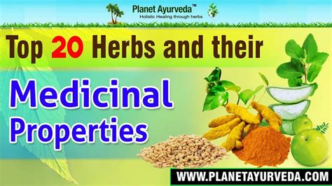 Top 20 Herbs And Their Medicinal Properties Health Benefits Youtube