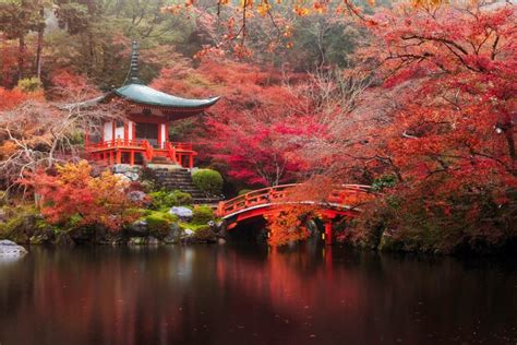 835696 Japan Kyoto Parks Pond Bridges Shrubs Rare Gallery Hd
