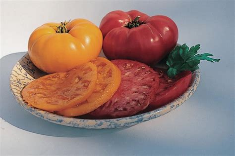 Tomato Varieties For Midwestern Gardens Hgtv