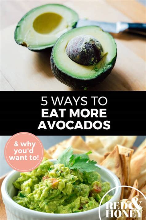 5 Quick And Easy Ways To Eat More Avocados Red And Honey
