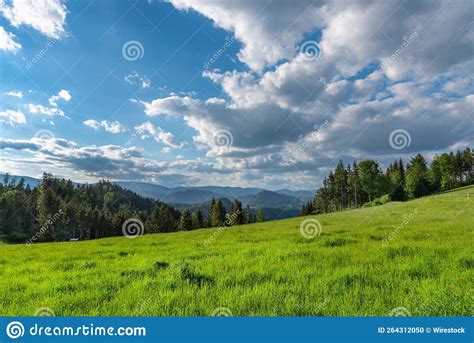 Beautiful Landscape Of A Green Meadow With The Blue Sky And A Forest In