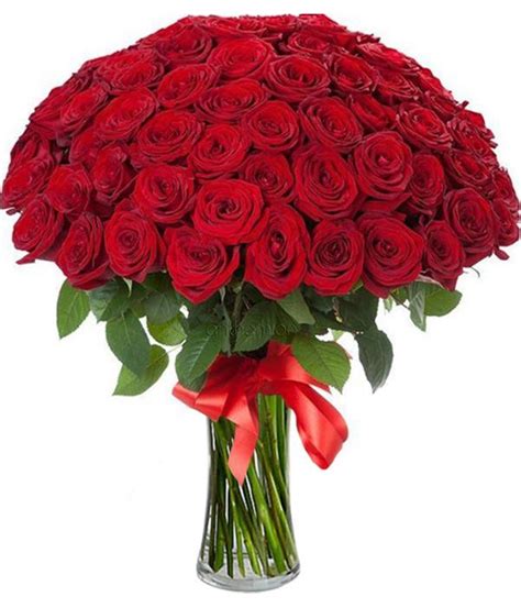 100 Red Roses