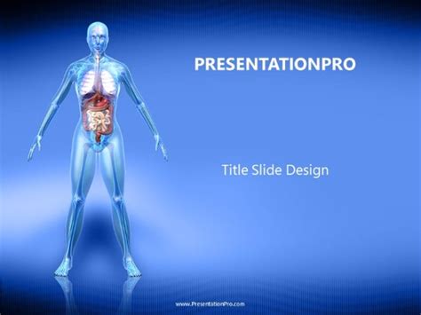 Female Anatomy Medical Powerpoint Template Presentationpro