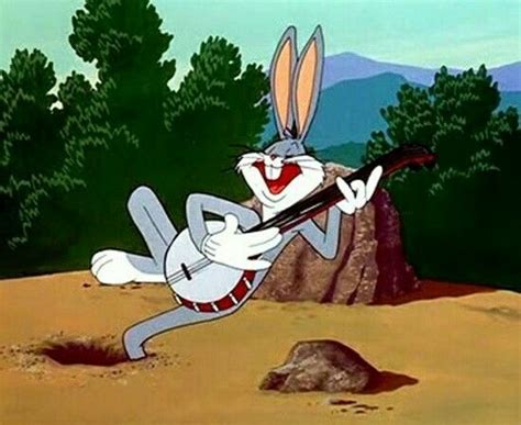 Banjo Bunny Looney Tunes Characters Looney Tunes Cartoons Classic