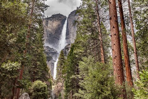 Lower Yosemite Falls 8 National Park Photographer