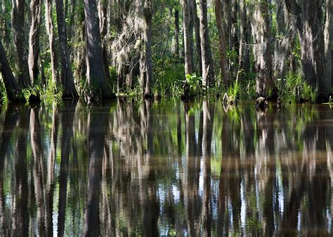 The 13 Most Beautiful Places In Louisiana You Didnt Know Existed