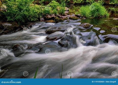 A Fast Flowing River Stock Photo Image Of Spring Dartmoor 119105068