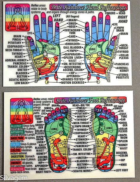 Reflexology Foot And Hand Chart