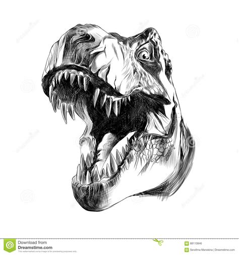 Dinosaur Head Logo Emblem Cartoon Vector 90151957