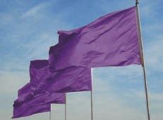 'the fringe does not appear to be regarded as an integral part of the flag, and its presence cannot be. Mansfield Town Centre - Mansfield is proud to be a Purple ...