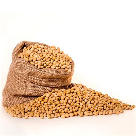 Organic Yellow Soybean Agriculture Products Soy Beansargentina Price
