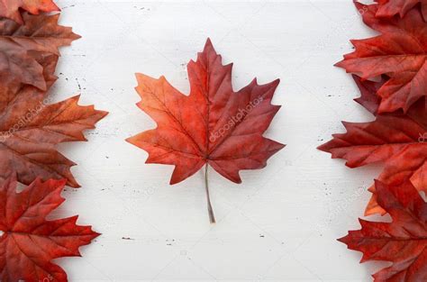 Download Happy Canada Day Red Silk Leaves In Shape Of Canadian Flag On White Shabby Chic Wood