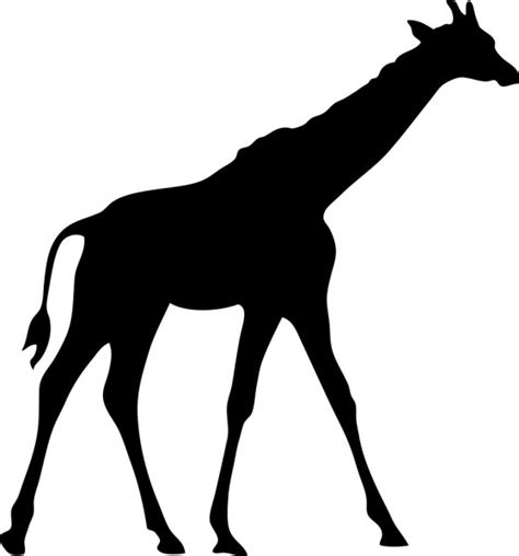 Black Giraffe Silhouette — Stock Vector © Pdesign 1739624