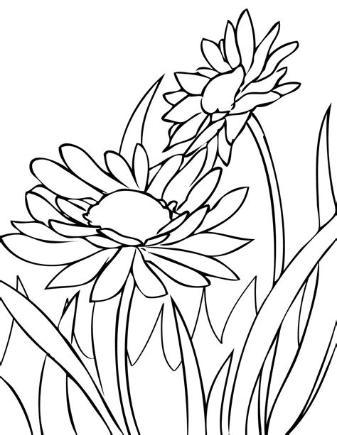 Our spring coloring pages are just what you need to keep the kids happily occupied this season. Gerber Daisy Coloring Pages at GetColorings.com | Free ...