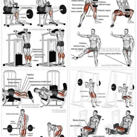 sintético 96 foto rutina de ejercicios para aumentar masa muscular en piernas y gluteos actualizar