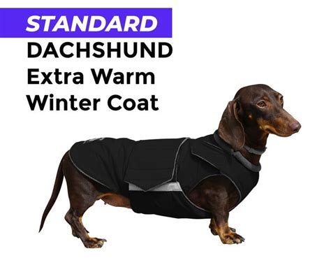 Standard Dachshund Extra Warm Winter Coat Dachshund Jacket