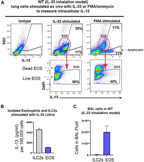 Eosinophils Promote Effector Functions Of Lung Group 2 Innate Lymphoid
