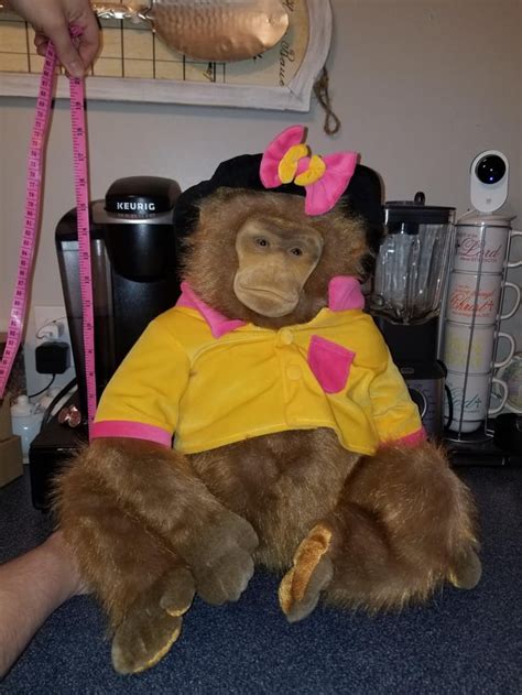 Where Is This Stuffed Ape From No Tail And The Hat Is Attached But The