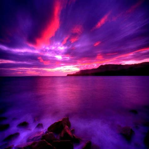Purple Sunset Purple Sunset Sunset Nature Sunset