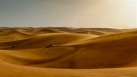 I 10 Migliori Tour Di Deserto Di Lahbab Nel 2022 Con Foto Cose Da