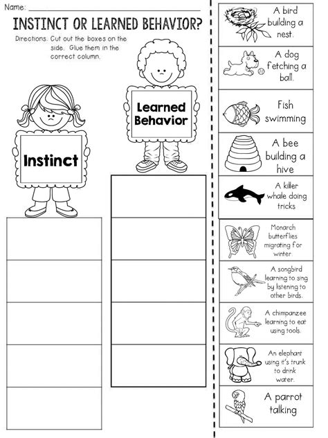 Inherited Vs Acquired Traits Worksheets