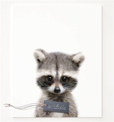 Nursery Decor Raccoon Print Woodland Animals Printable Etsy