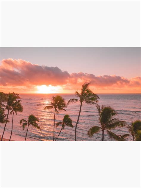 Pink Sunset Palm Trees Cotton Candy Sky Poster For Sale By