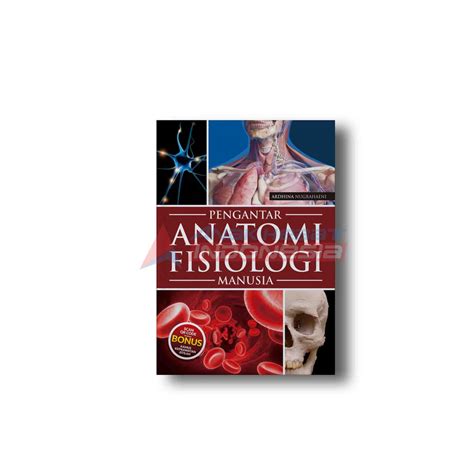 Buku Anatomi Fisiologi Manusia Pdf Pdf Anatomi Dan Fisiologi Manusia