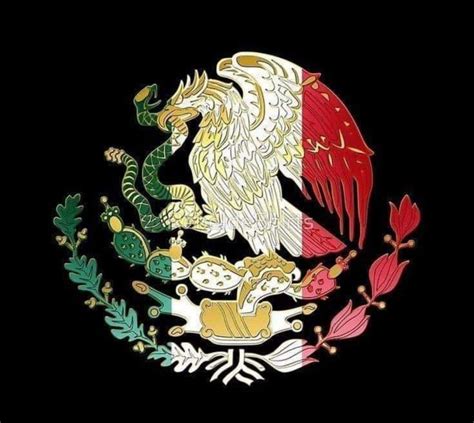 Pin De Lupita Náñez En Mexico Banderas Y MÁs Escudo Mexicano Escudo